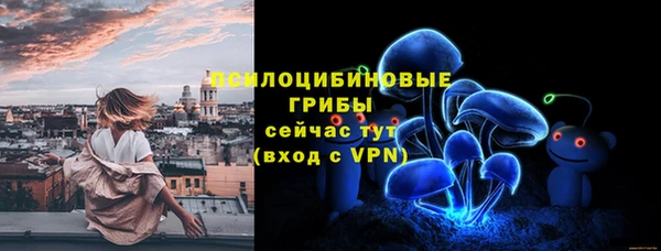 соль ск Алексеевка