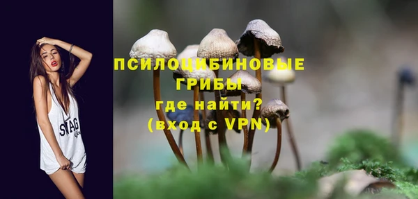 соль ск Алексеевка