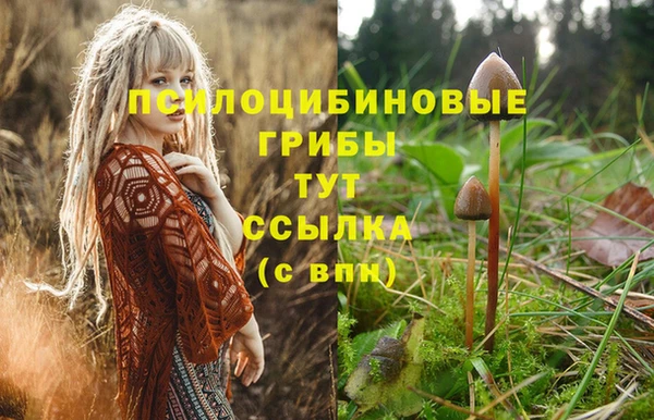 соль ск Алексеевка